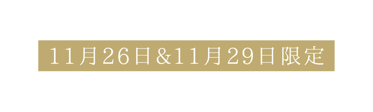 11月26日 11月29日限定