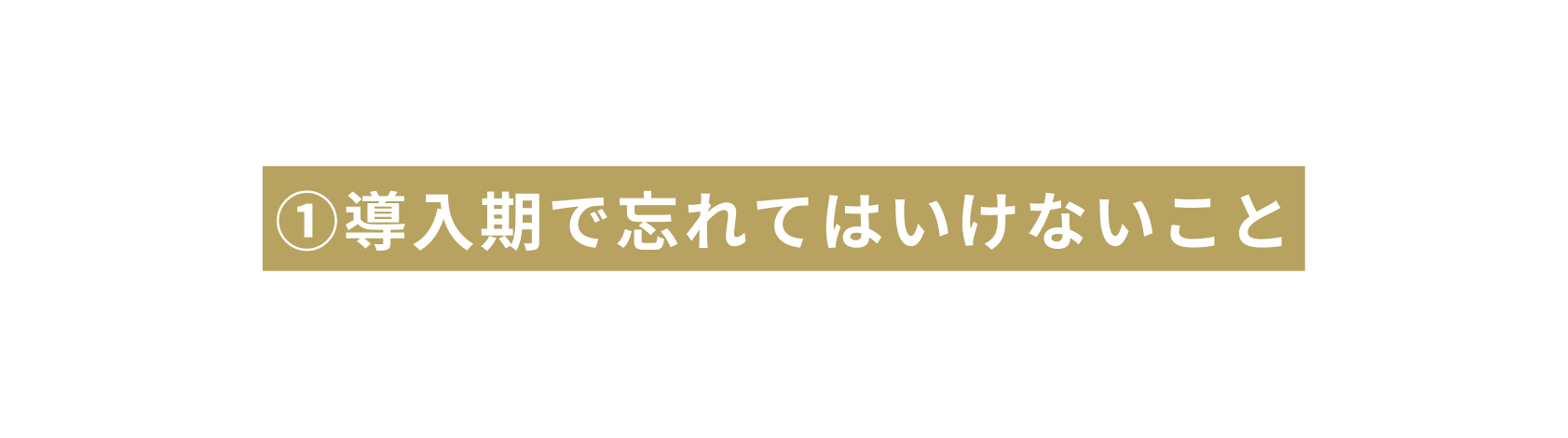 導入期で忘れてはいけないこと